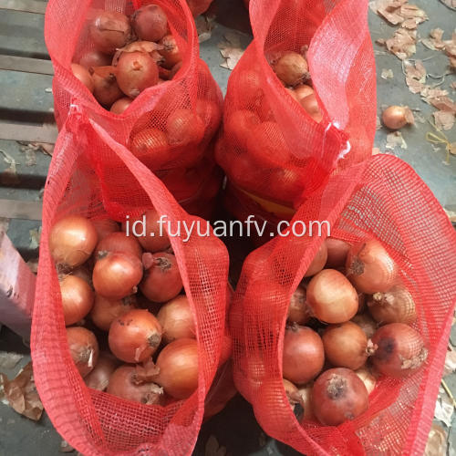 Bawang Gansu 2019 dengan harga bagus